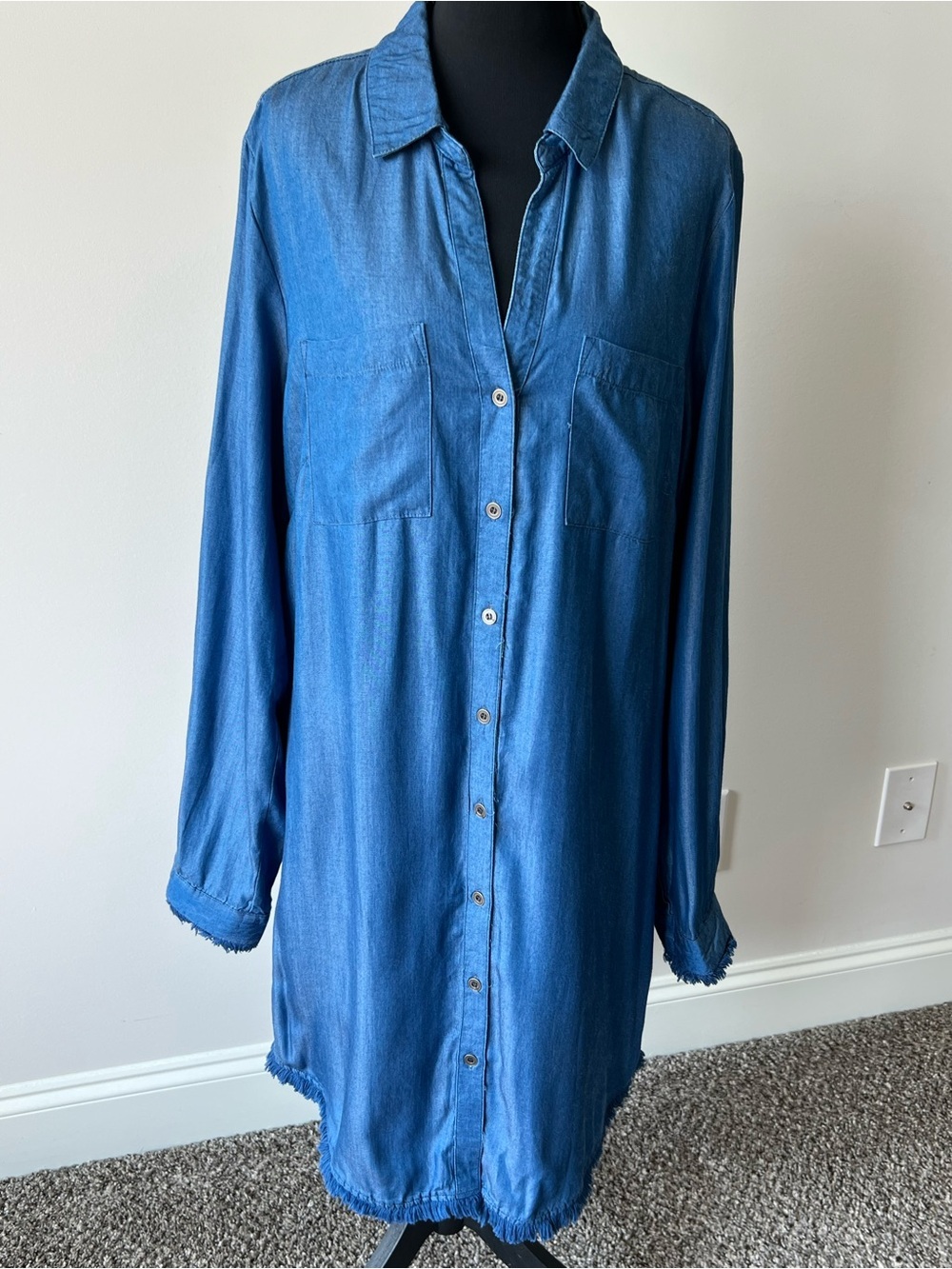 Hope & Harlow Denim 100% Lyocell Shirt Dress with a Frayed Hem